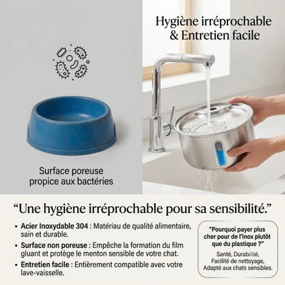 Fontaine inox sans fil — L'hydratation que votre chat mérite