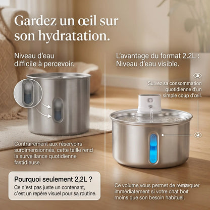 Fontaine inox sans fil — L'hydratation que votre chat mérite